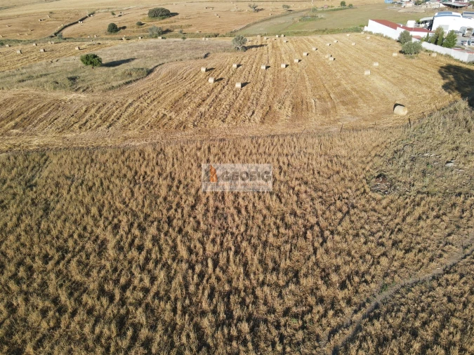 Quinta T1 para Venda em Castro Verde e Casével Foto 34