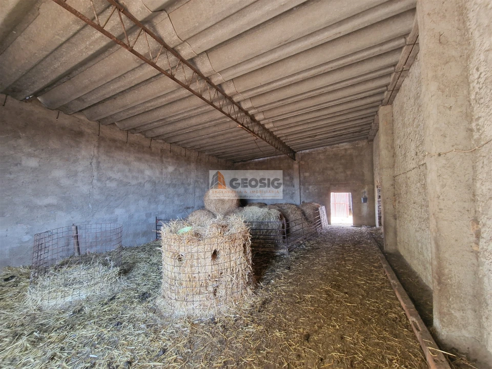 Quinta T1 para Venda em Castro Verde e Casével Foto 20