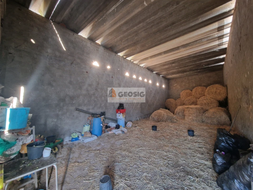 Quinta T1 para Venda em Castro Verde e Casével Foto 15