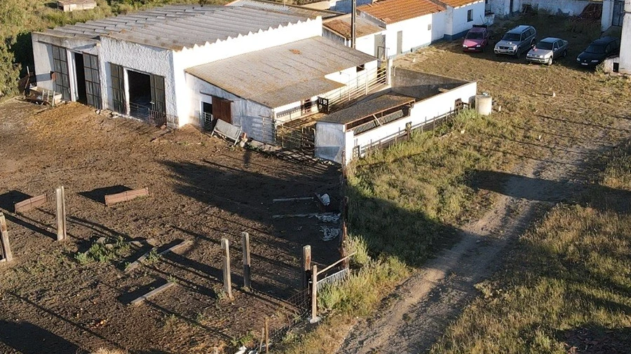 Quinta T1 para Venda em Castro Verde e Casével