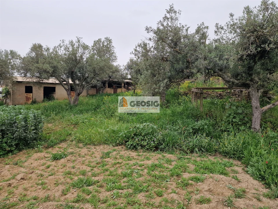 Moradia T2 para Venda em Santa Cruz Foto 55