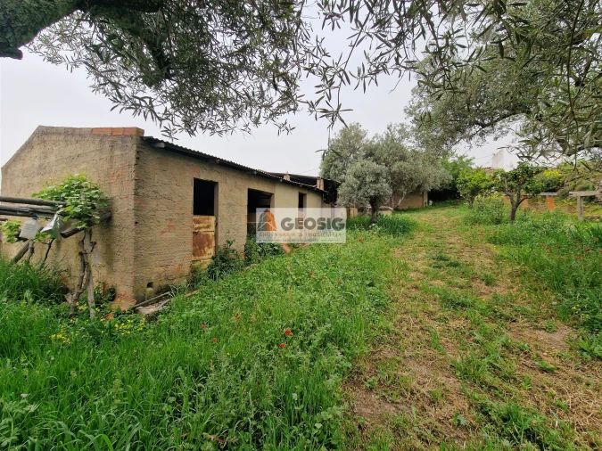 Moradia T2 para Venda em Santa Cruz Foto 52