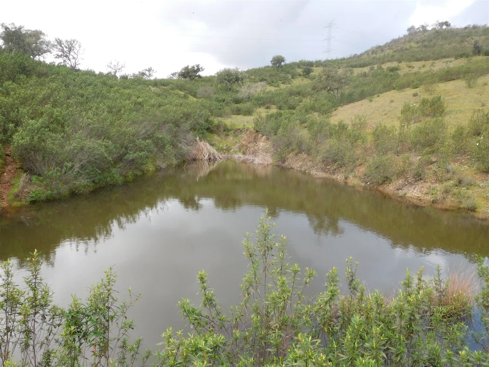 Quinta T1 para Venda em Santa Clara-A-Nova e Gomes Aires Foto 9