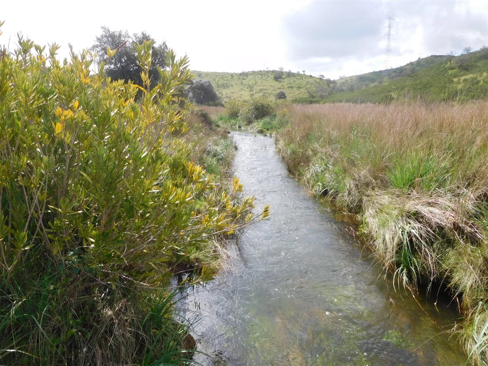 Quinta T1 para Venda em Santa Clara-A-Nova e Gomes Aires Foto 5