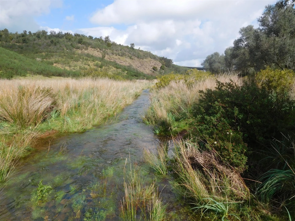 Quinta T1 para Venda em Santa Clara-A-Nova e Gomes Aires Foto 7
