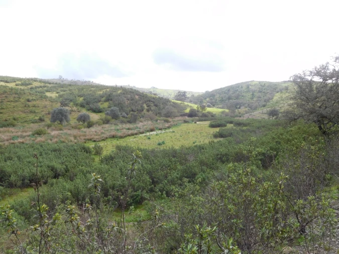 Quinta T1 para Venda em Santa Clara-A-Nova e Gomes Aires Foto 3