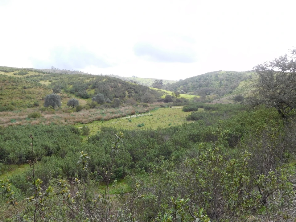 Quinta T1 para Venda em Santa Clara-A-Nova e Gomes Aires Foto 3