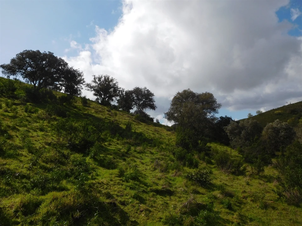 Quinta T1 para Venda em Santa Clara-A-Nova e Gomes Aires Foto 4