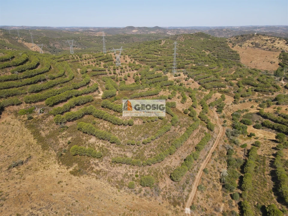 Terreno Agricola ou Rústico para Venda em Vaqueiros Foto 5