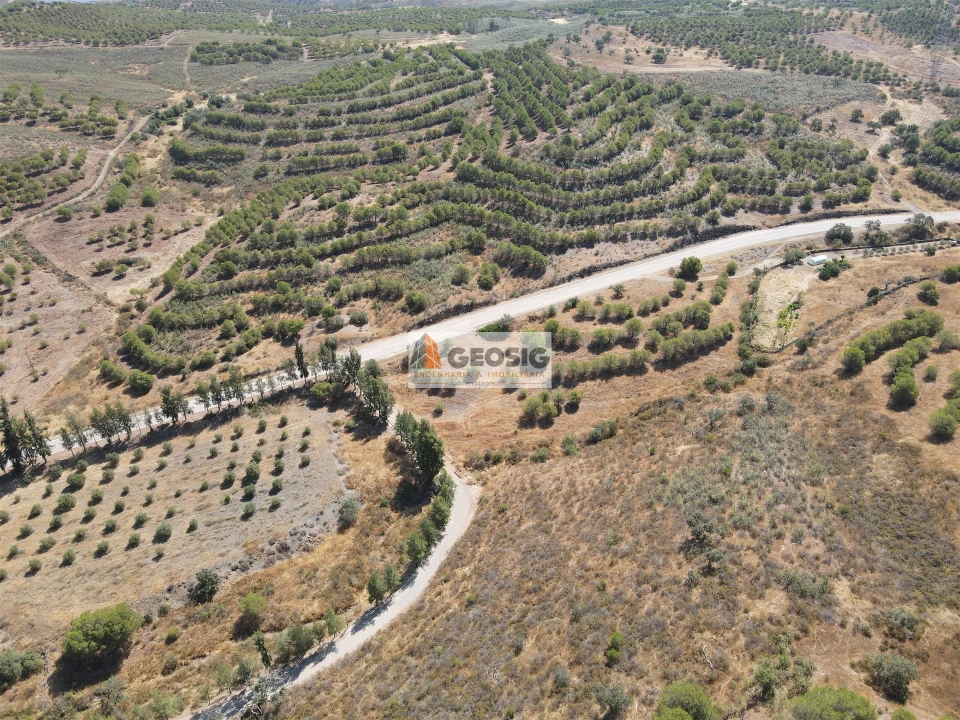 Terreno Agricola ou Rústico para Venda em Vaqueiros Foto 9