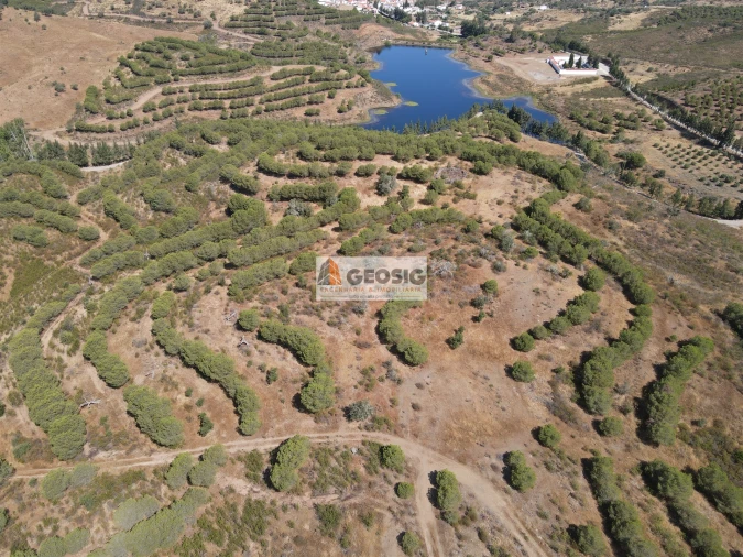 Terreno Agricola ou Rústico para Venda em Vaqueiros Foto 2