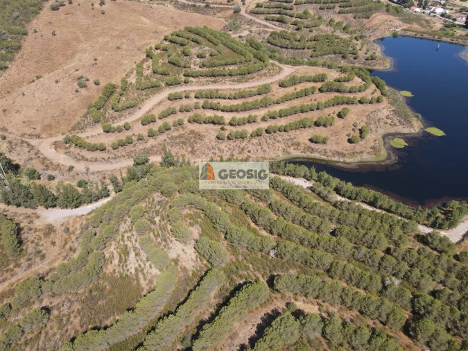 Terreno Agricola ou Rústico para Venda em Vaqueiros Foto 3