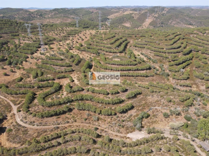 Terreno Agricola ou Rústico para Venda em Vaqueiros Foto 8