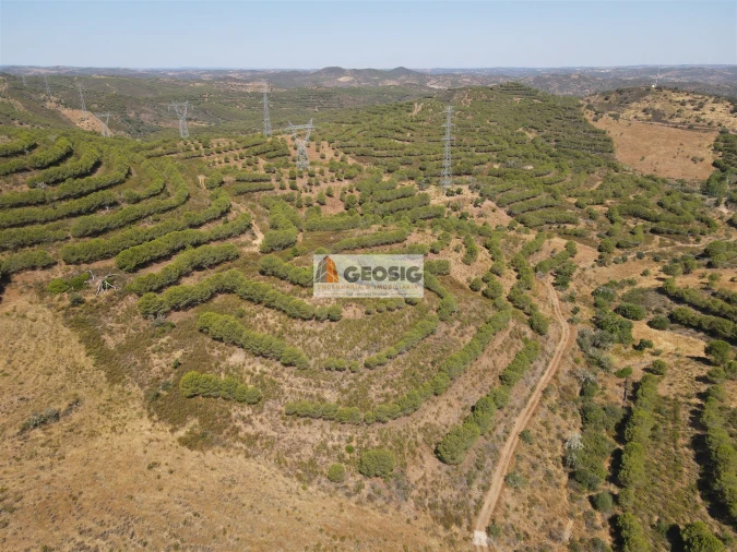 Terreno Agricola ou Rústico para Venda em Vaqueiros Foto 5