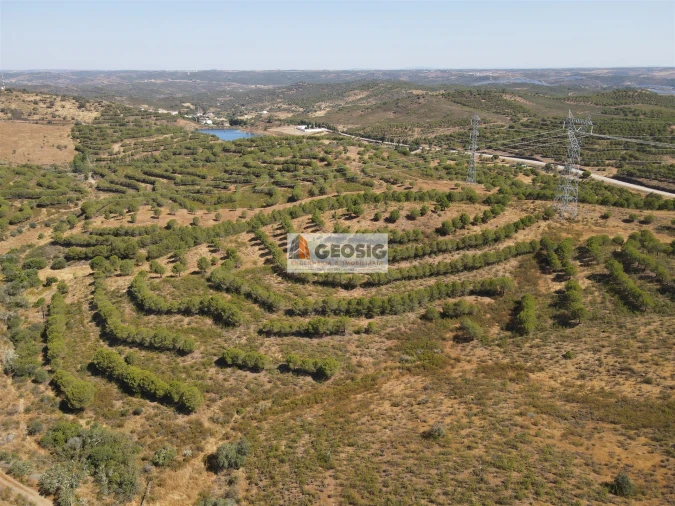 Terreno Agricola ou Rústico para Venda em Vaqueiros Foto 4