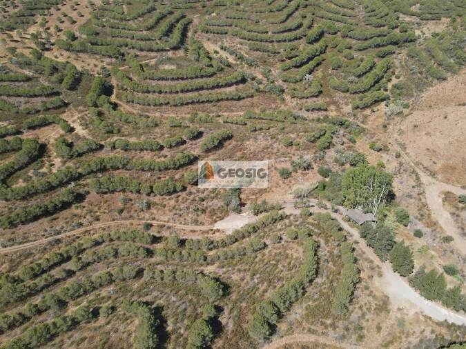 Terreno Agricola ou Rústico para Venda em Vaqueiros Foto 7