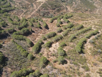 Terreno Agricola ou Rústico para Venda em Vaqueiros