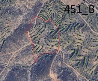 Terreno Agricola ou Rústico para Venda em Vaqueiros