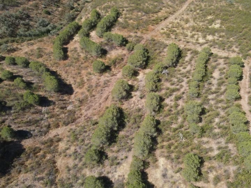 Terreno Agricola ou Rústico para Venda em Vaqueiros