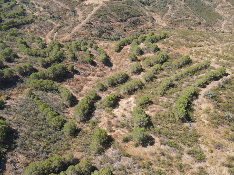 Terreno Agricola ou Rústico para Venda em Vaqueiros Foto 1