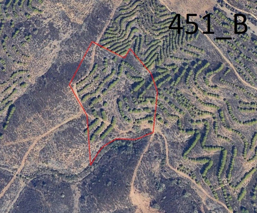Terreno Agricola ou Rústico para Venda em Vaqueiros Foto 6