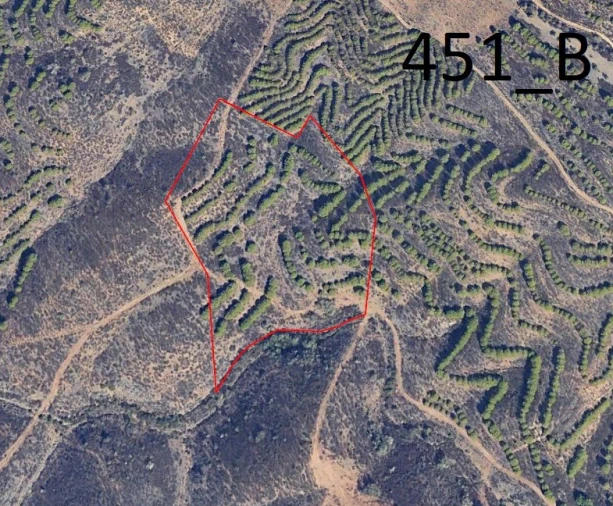 Terreno Agricola ou Rústico para Venda em Vaqueiros Foto 6