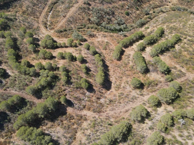 Terreno Agricola ou Rústico para Venda em Vaqueiros Foto 4
