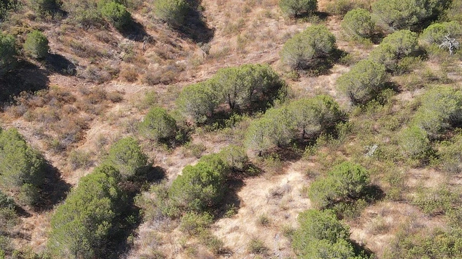 Terreno Agricola ou Rústico para Venda em Vaqueiros