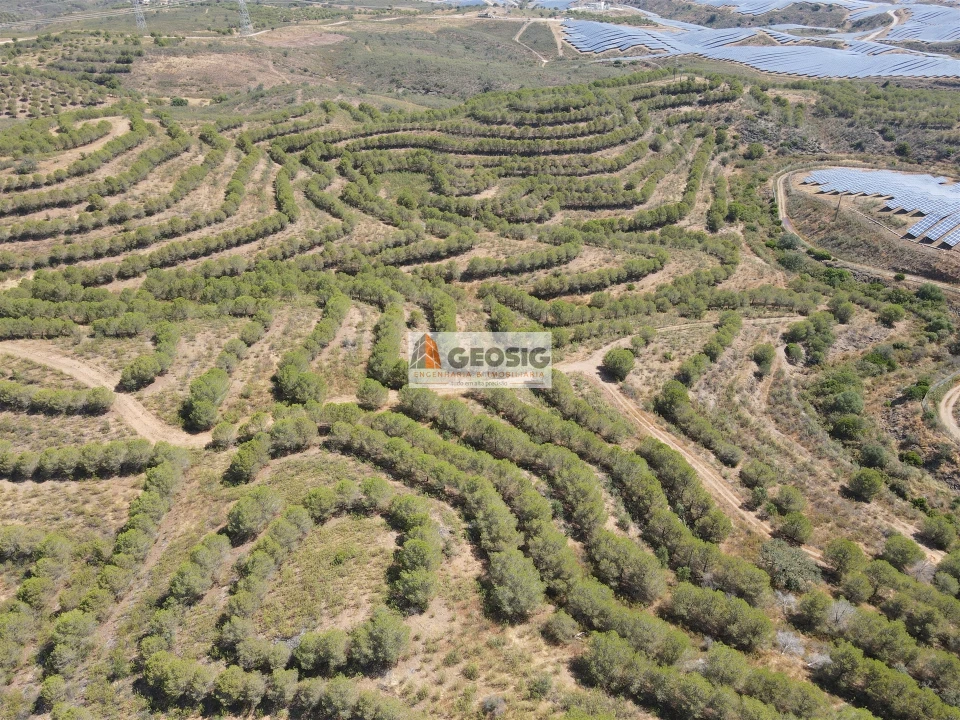 Terreno Agricola ou Rústico para Venda em Vaqueiros Foto 6