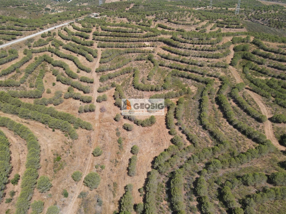 Terreno Agricola ou Rústico para Venda em Vaqueiros Foto 5