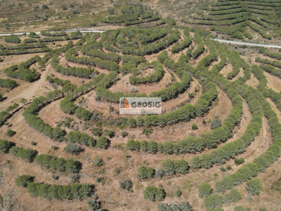 Terreno Agricola ou Rústico para Venda em Vaqueiros Foto 4