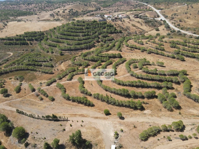 Terreno Agricola ou Rústico para Venda em Vaqueiros Foto 7