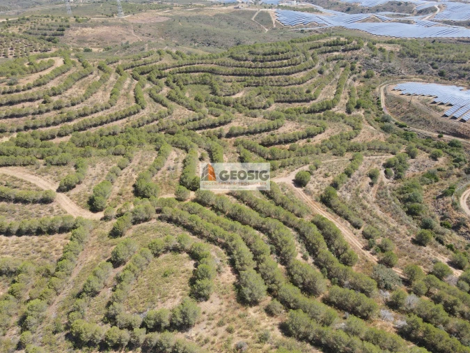 Terreno Agricola ou Rústico para Venda em Vaqueiros Foto 6