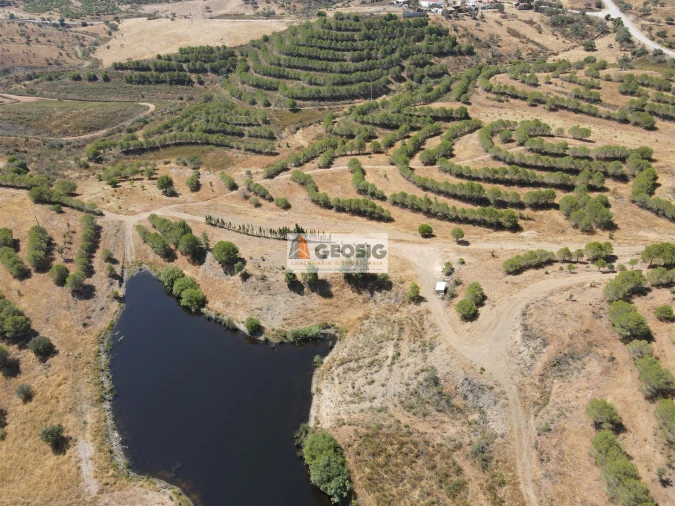 Terreno Agricola ou Rústico para Venda em Vaqueiros Foto 2