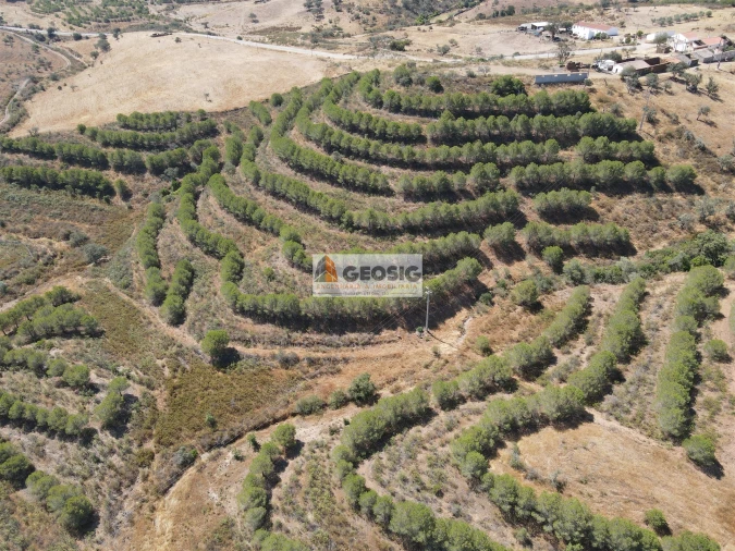 Terreno Agricola ou Rústico para Venda em Vaqueiros Foto 8