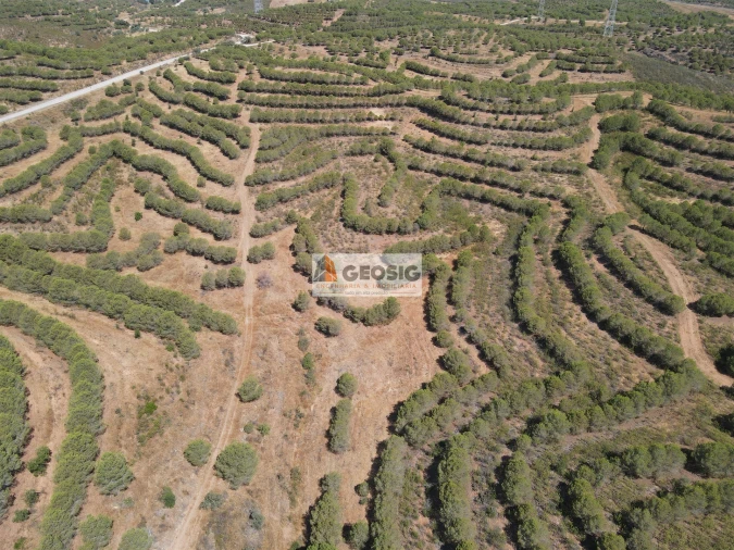 Terreno Agricola ou Rústico para Venda em Vaqueiros Foto 5