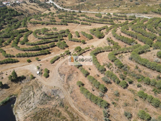 Terreno Agricola ou Rústico para Venda em Vaqueiros Foto 3