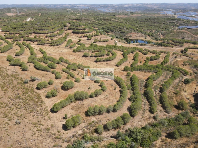 Terreno Agricola ou Rústico para Venda em Vaqueiros Foto 9