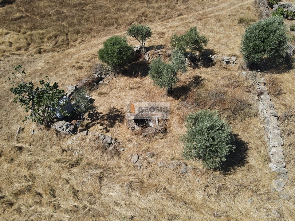 Quinta T4 para Venda em Ourique Foto 23