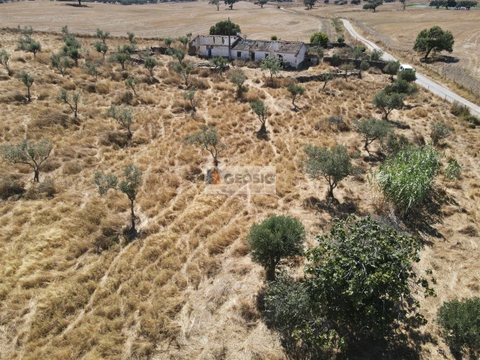 Quinta T4 para Venda em Ourique Foto 22