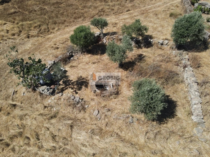 Quinta T4 para Venda em Ourique Foto 23