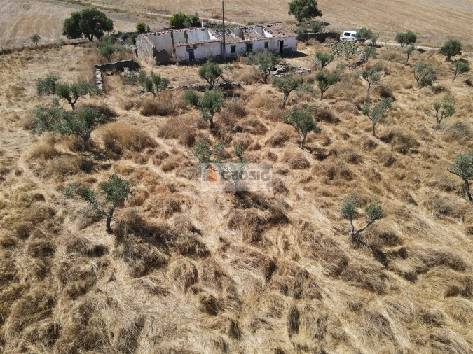 Quinta T4 para Venda em Ourique Foto 18