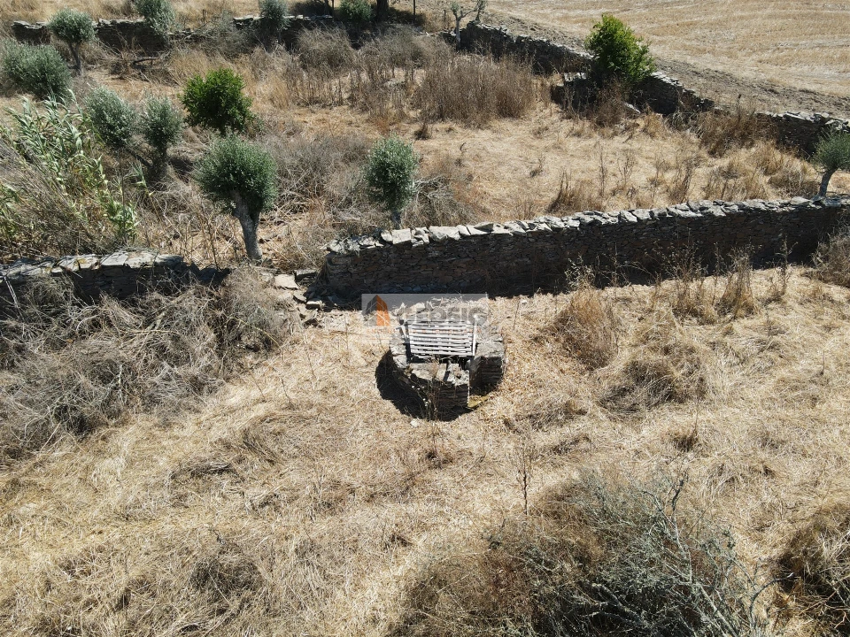 Quinta T4 para Venda em Ourique Foto 19