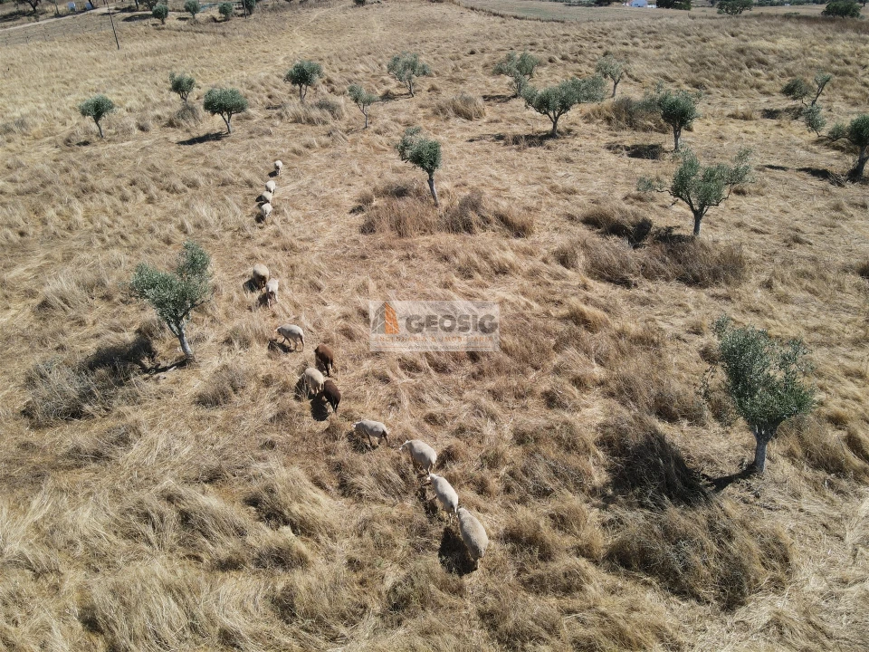 Quinta T4 para Venda em Ourique Foto 24