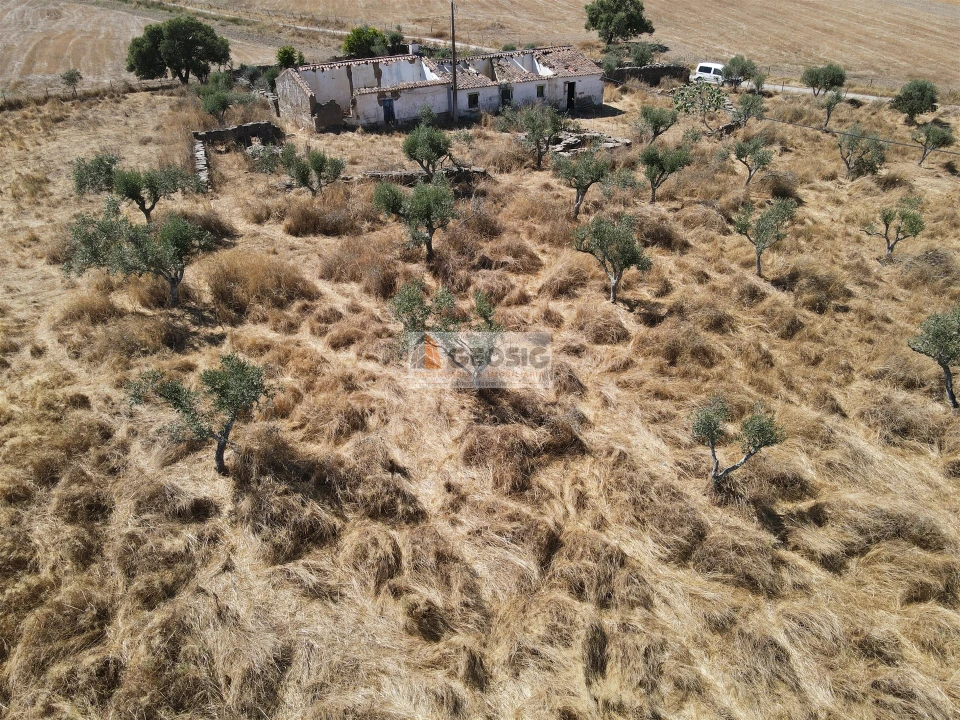 Quinta T4 para Venda em Ourique Foto 18