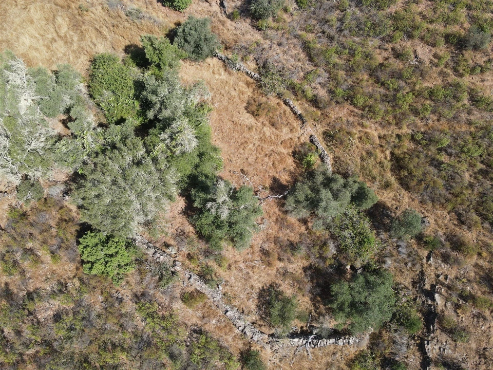 Terreno Agricola ou Rústico para Venda em Vaqueiros Foto 4