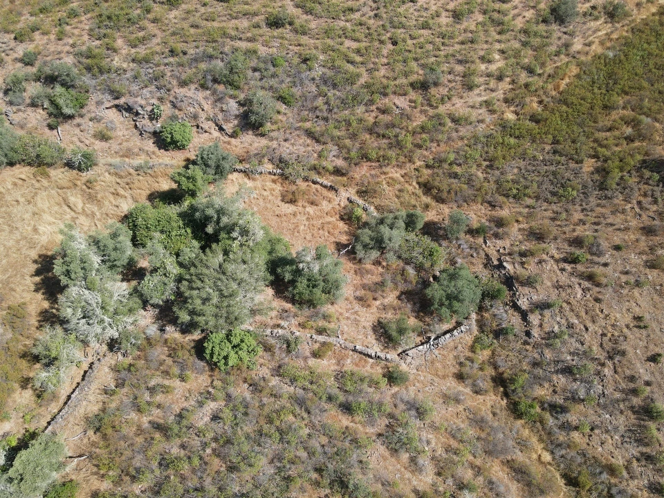 Terreno Agricola ou Rústico para Venda em Vaqueiros Foto 1