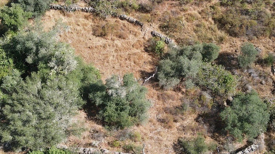 Terreno Agricola ou Rústico para Venda em Vaqueiros