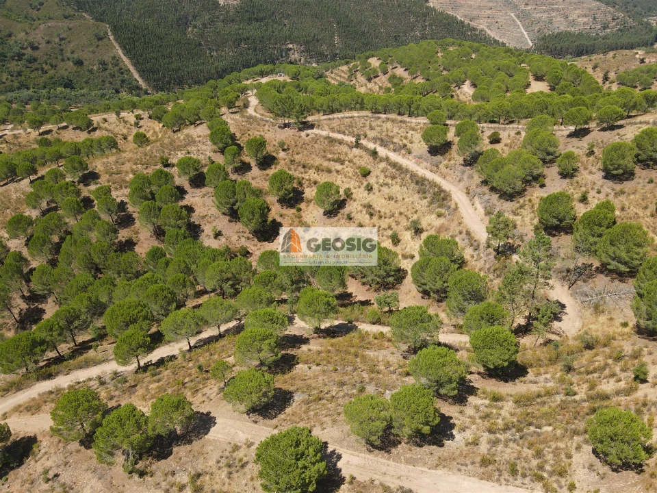 Quinta T0 para Venda em São Barnabe Foto 11