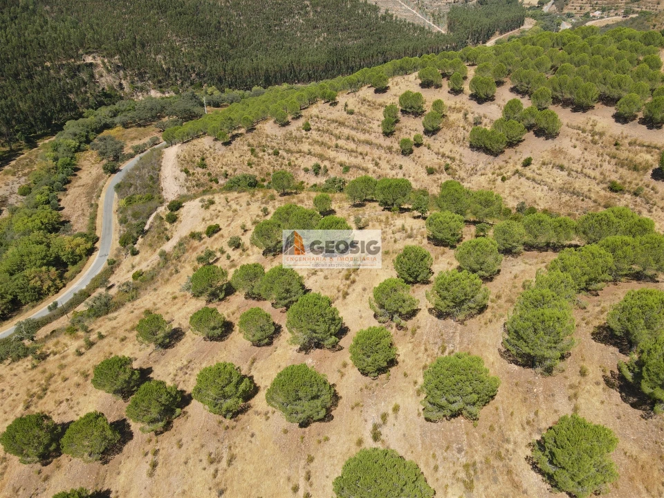 Quinta T0 para Venda em São Barnabe Foto 6